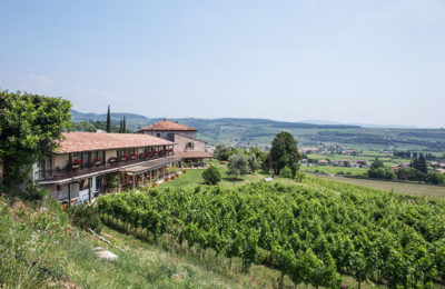 In the Valpolicella kitchen