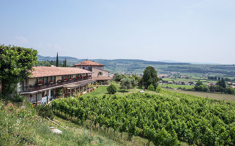 In the Valpolicella kitchen